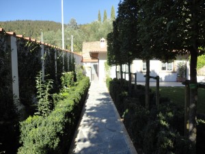 giardino a Bologna 12
