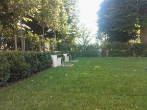 giardino a Bologna 7