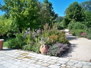 giardino a Forte dei Marmi 1