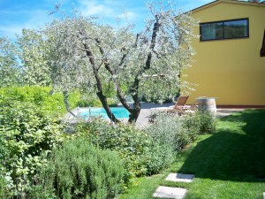 giardino a Montecatini Terme 5