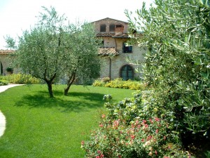 giardino a Perugia 2