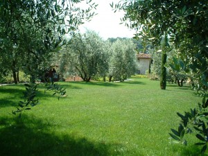 giardino a Perugia 4