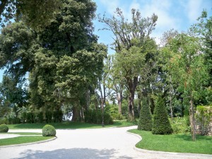 giardino a Pietrasanta 21