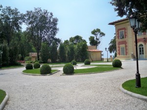 giardino a Pietrasanta 23