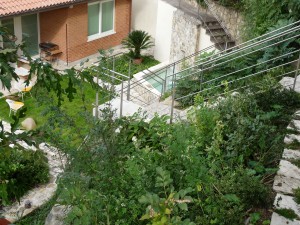 giardino a Pistoia 9