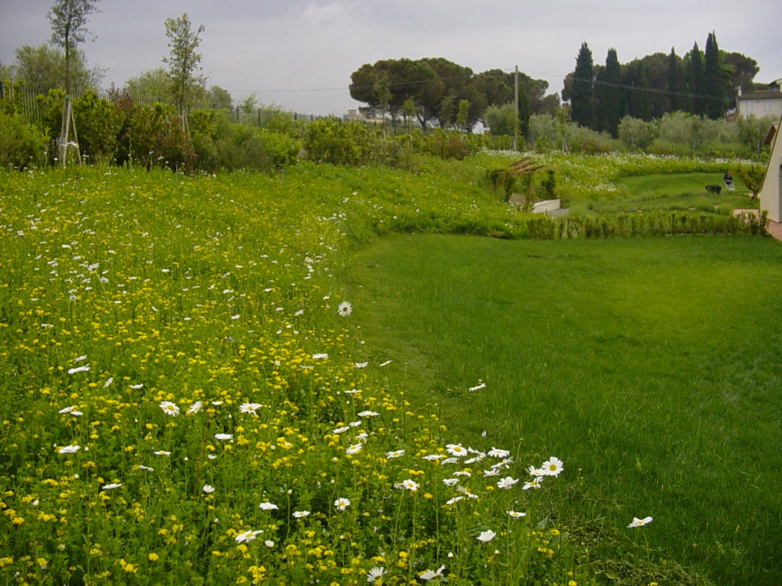 giardino agriturismo a Firenze 10