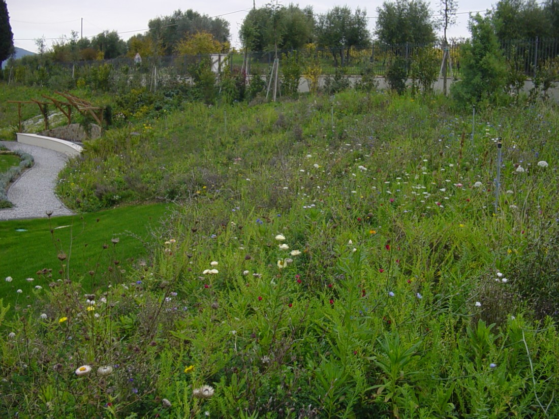 giardino agriturismo a Firenze 11