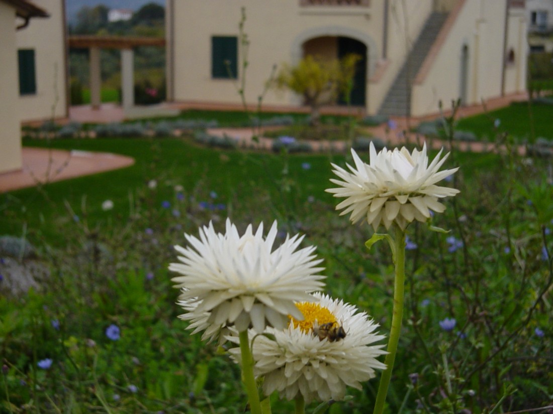 giardino agriturismo a Firenze 12