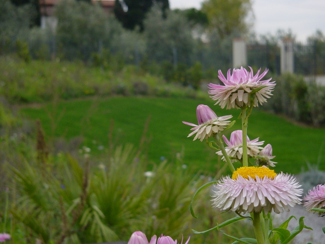 giardino agriturismo a Firenze 14