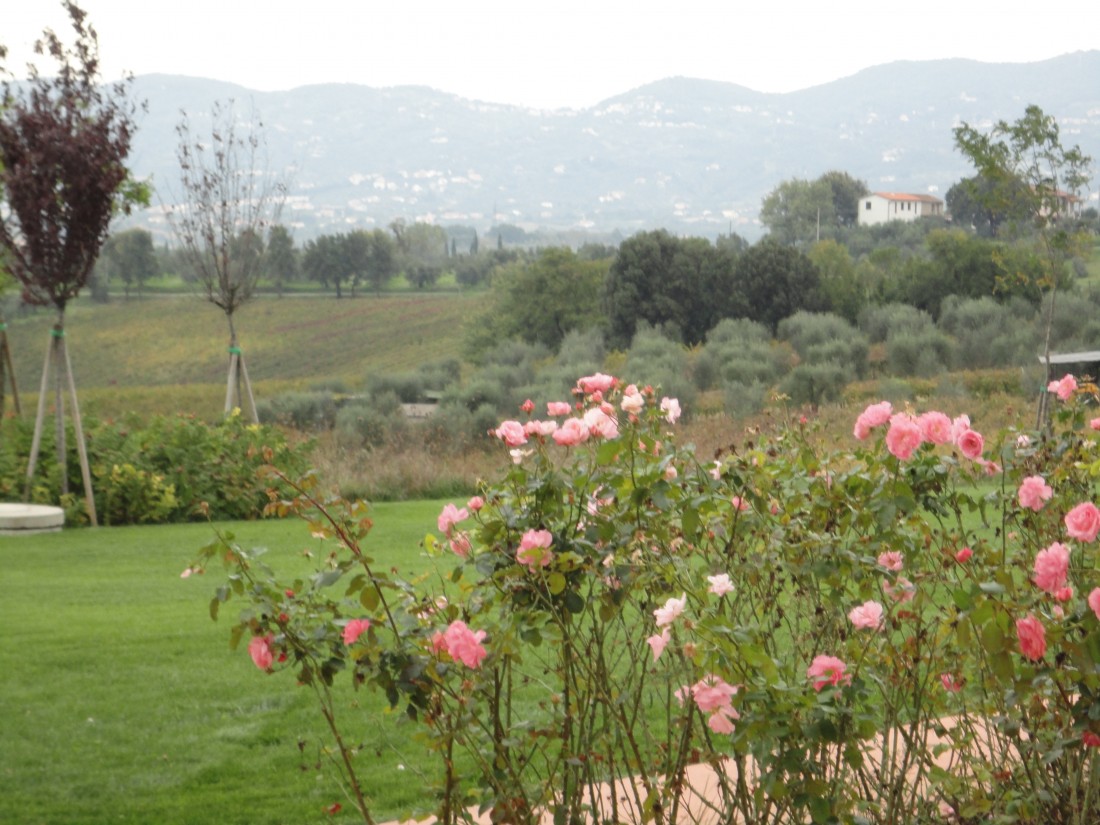 giardino agriturismo a Firenze 5