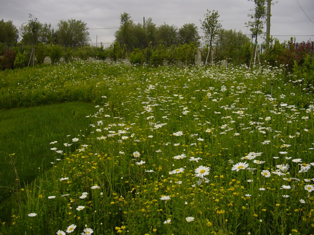 giardino agriturismo a Firenze 9