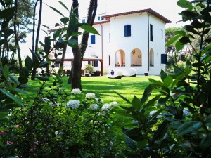 giardino in Versilia 1
