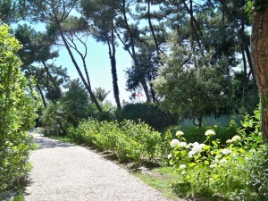 giardino in Versilia 12