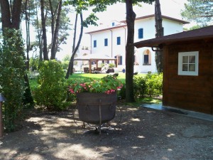 giardino in Versilia 2