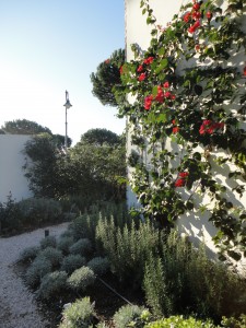 giardino villa al mare 8